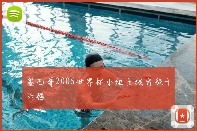 墨西哥2006世界杯小组出线晋级十六强