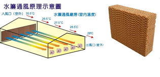 祥进负压湿帘水帘降温 负压风机 湿帘水帘系统