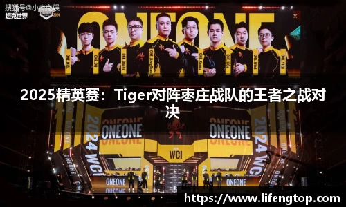 2025精英赛：Tiger对阵枣庄战队的王者之战对决